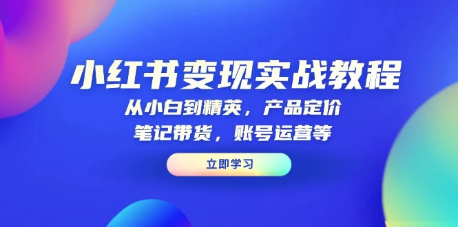 小红书变现实战教程:从小白到精英,产品定价,笔记带货,账号运营等