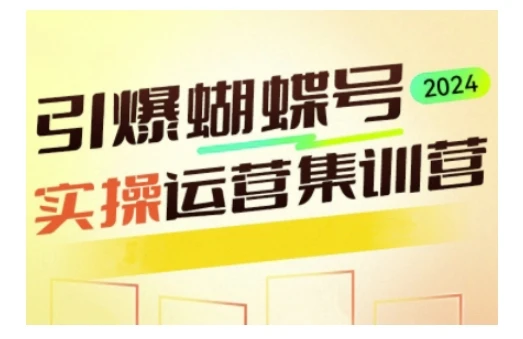 引爆蝴蝶号实操运营，助力你深度掌握蝴蝶号运营，实现高效实操，开启流量变现之路