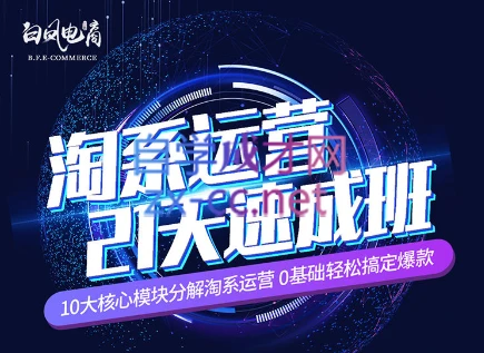 淘系运营21天速成班(更新7月)