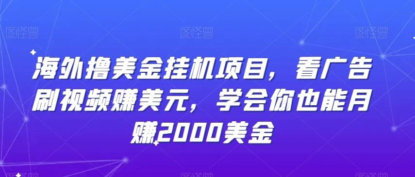 海外撸美金挂机项目,看广告刷视频赚美元,学会你也能月赚2000美金
