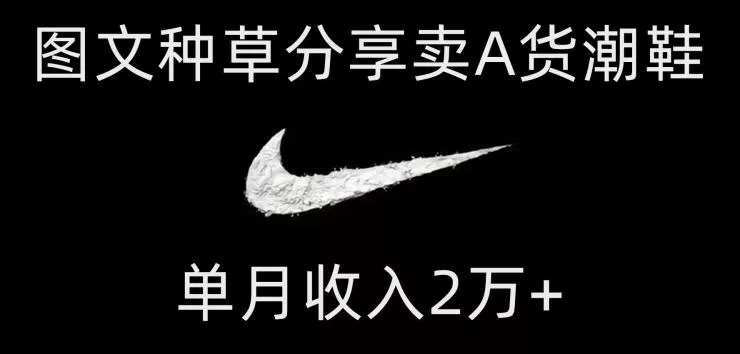 靠图文种草分享卖A货潮鞋,每天一小时,单月收入2万+【揭秘】