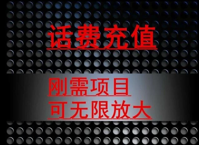 最新蓝海项目，刚需赛道，95折充话费月入5位数