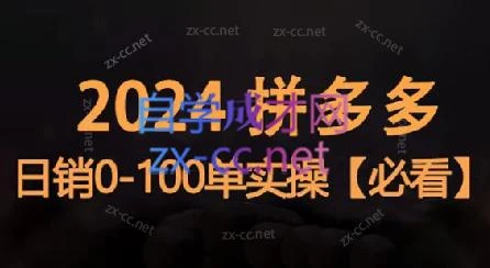恒哥·2024拼多多日销0-100单实操