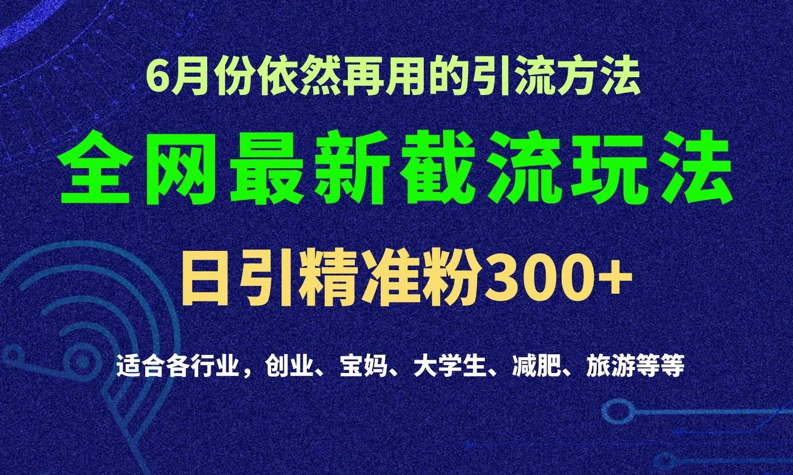 2024全网最新截留玩法，每日引流突破300+