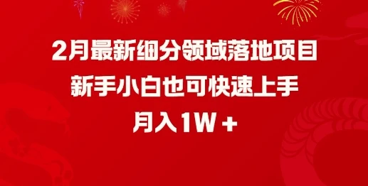 2月最新细分领域落地项目,新手小白也可快速上手,月入1W