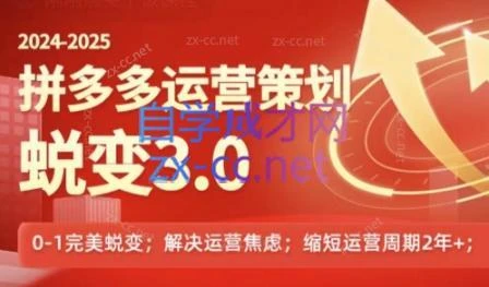 大力老师·2024拼多多运营策略蜕变3.0