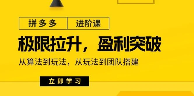 拼多多·进阶课:极限拉升/盈利突破:从算法到玩法 从玩法到团队搭建-18节