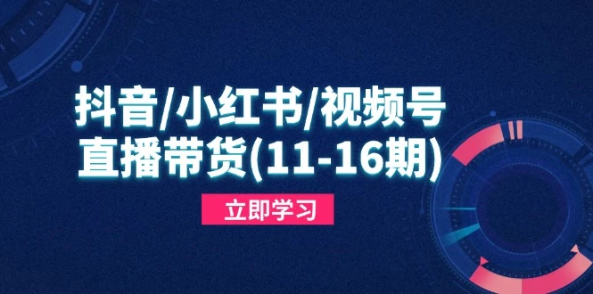 抖音/小红书/视频号/直播带货(11-16期
