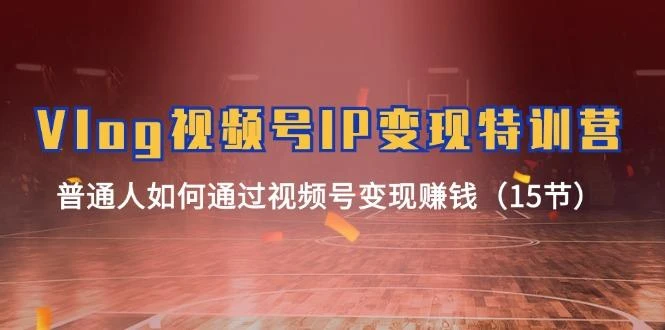 Vlog 视频号IP变现特训营，普通人如何通过视频号变现赚钱(15节