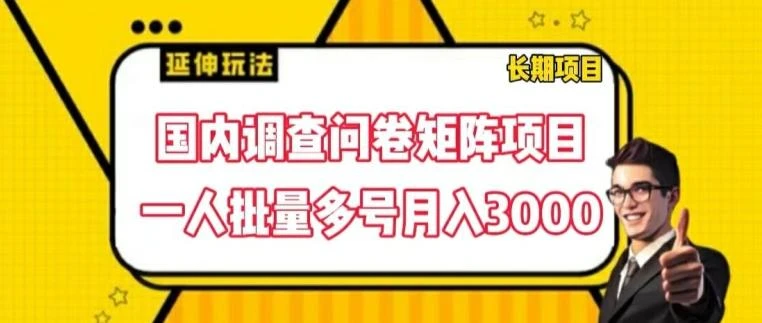 国内调查问卷矩阵项目,一人批量多号月入3000【揭秘】