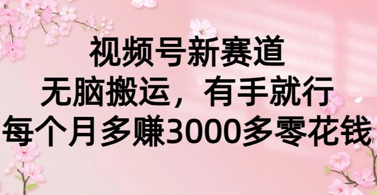 (9278期)视频号新赛道,无脑搬运,有手就行,每个月多赚3000多零花钱