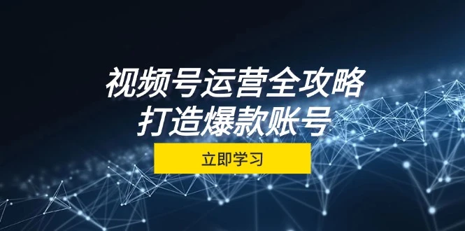 视频号运营全攻略,从定位到成交一站式学习,视频号核心秘诀,打造爆款...
