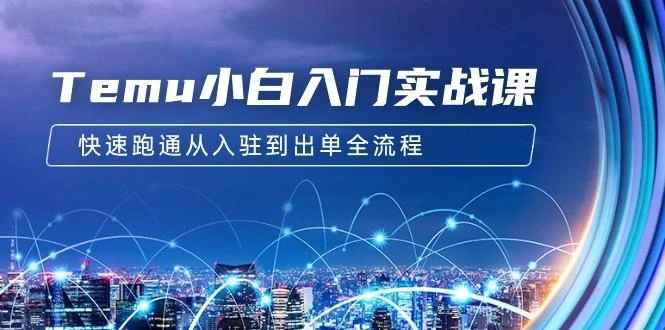(9295期)Temu小白入门实战课:跨境拼多多电商培训 快速跑通从入驻到出单全流程-12节