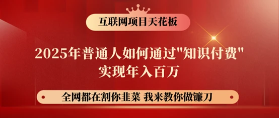 镰刀训练营超级IP合伙人,25年普通人如何通过“知识付费”年入百万!