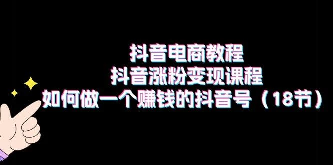 抖音电商教程:抖音涨粉变现课程:如何做一个赚钱的抖音号(18节