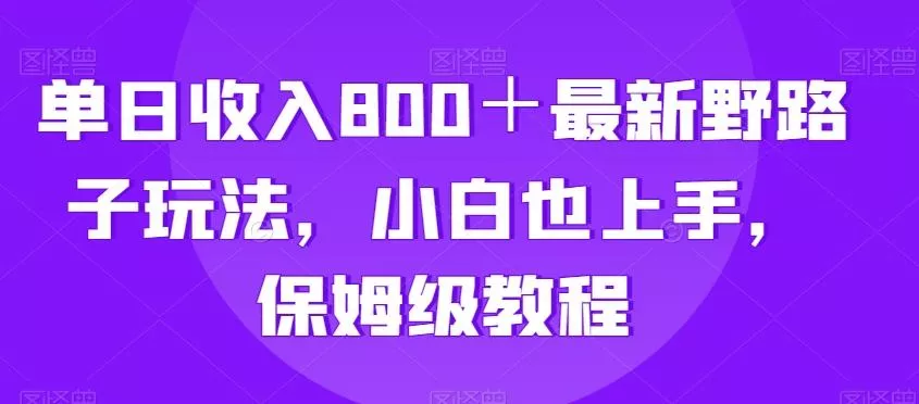 单日收入800+最新野路子玩法,小白也上手,保姆级教程