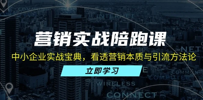 营销实战陪跑课:中小企业实战宝典,看透营销本质与引流方法论