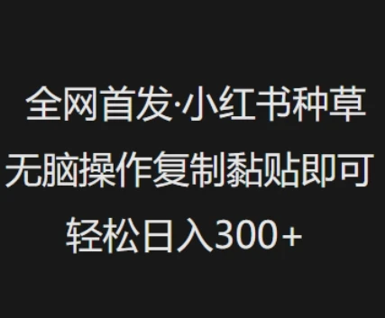 全网首发,小红书种草无脑操作,复制黏贴即可,轻松日入3张