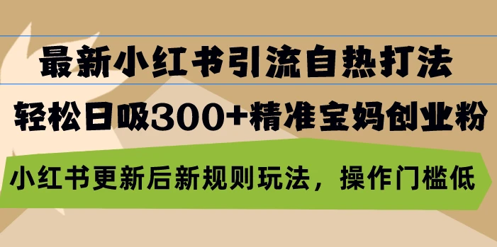 最新小红书引流自热打法,轻松日吸300+精准宝妈创业粉,小红书更新后新...