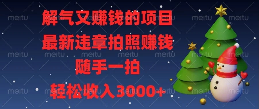 解气又赚钱的项目,最新违章拍照赚钱,随手一拍,轻松收入3000+