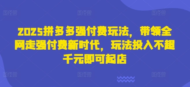 2025拼多多强付费玩法,带领全网走强付费新时代,玩法投入不超千元即可起店