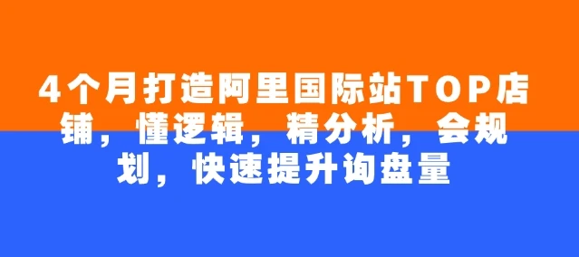 4个月打造阿里国际站TOP店铺,懂逻辑,精分析,会规划,快速提升询盘量
