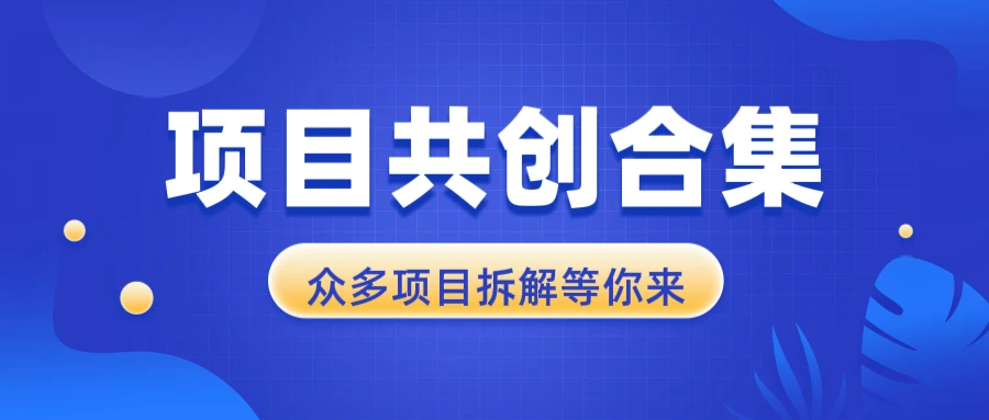 项目共创合集,从0-1全过程拆解,让你迅速找到适合自已的项目