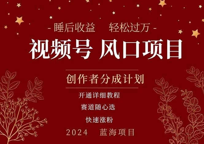 拥有睡眠收益的微信视频号大风口项目,轻松月入过万+,多赛道选择,可...