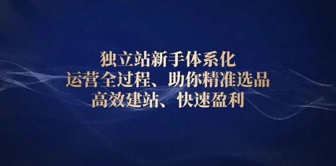独立站新手体系化 运营全过程,助你精准选品、高效建站、快速盈利