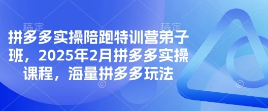 拼多多实操陪跑特训营弟子班,2025年2月拼多多实操课程,海量拼多多玩法