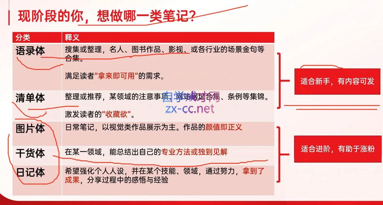 秋叶·小红书训练营(7.3-8.7)