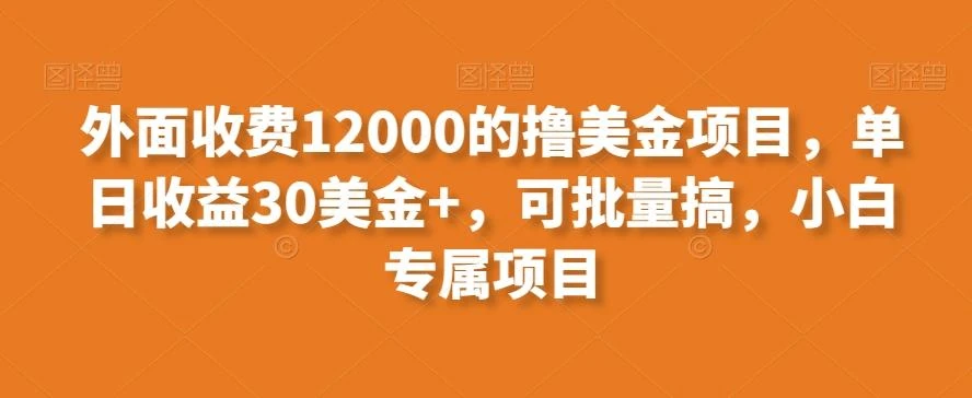 (8629期)一键生成英文名变现，冷门暴利无门槛，轻松日赚500+