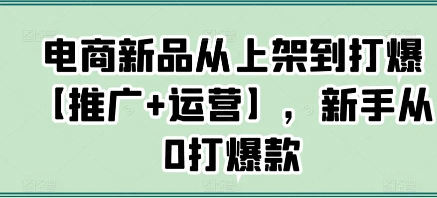 电商新品从上架到打爆【推广+运营】,新手从0打爆款