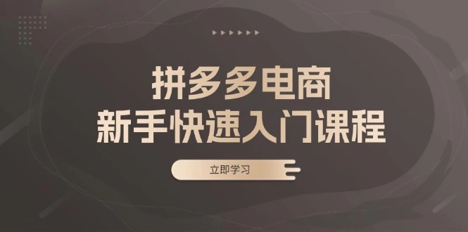 拼多多电商新手快速入门课程:涵盖基础、实战与选款,助力小白轻松上手