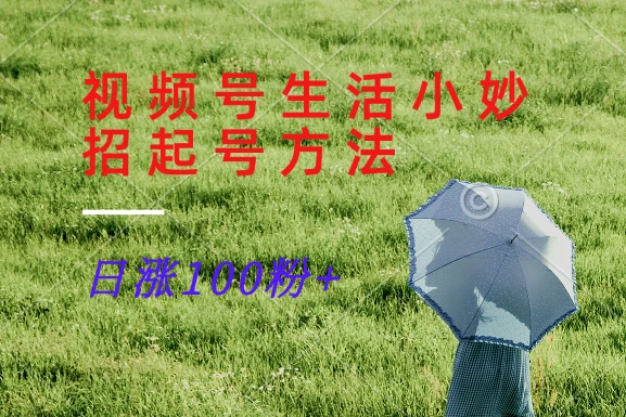 视频号生活小妙招分享赛道, 起号涨粉新方法,日涨100粉