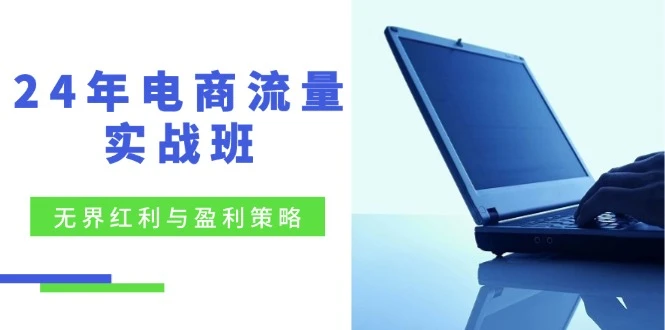 24年电商流量实战班:无界 红利与盈利策略,终极提升/关键词优化/精准...